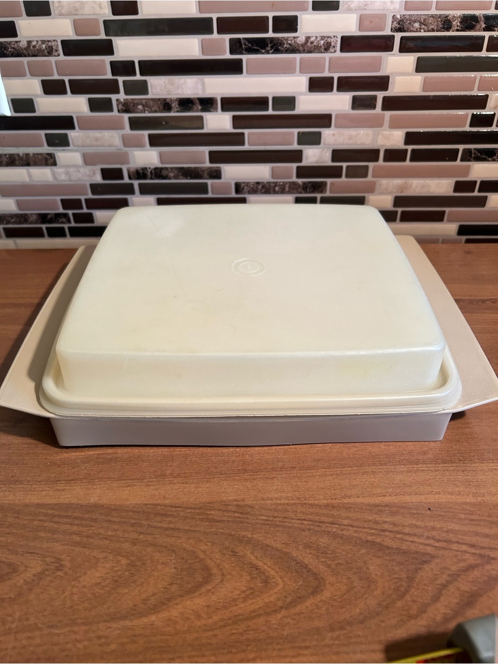 Vintage Tupperware Deviled Egg Keeper Covered Tray- Cream